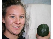 HASHIMOTO AVOCADO FIRM Large Size Katikati Grown 